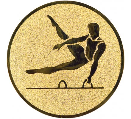 Centre gym masculin Diam. 25 mm 