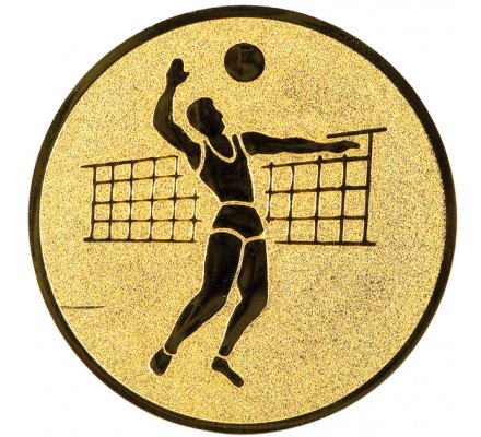 Centre volley-ball masculin Diam. 50 mm 