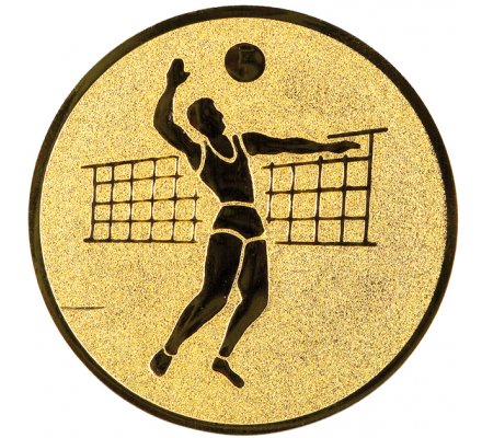 Centre volley-ball masculin Diam. 50 mm 