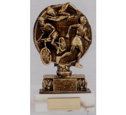 Trophée triathlon 21 cm - CR1544