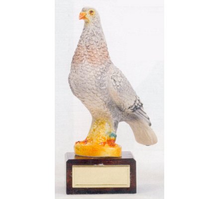 Trophée pigeon 21 cm - CR1606