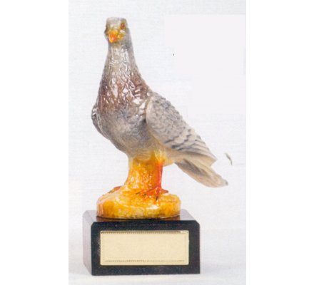 Trophée pigeon 19 cm - CR1607