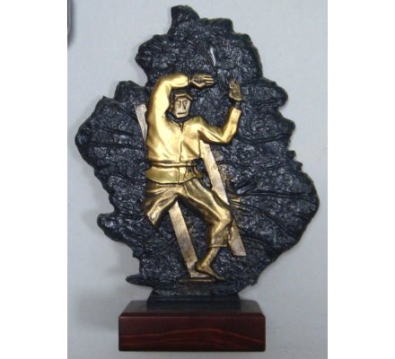 Trophée judo 27 cm - CR8175