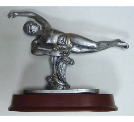 Trophée natation 24 cm - CR8446