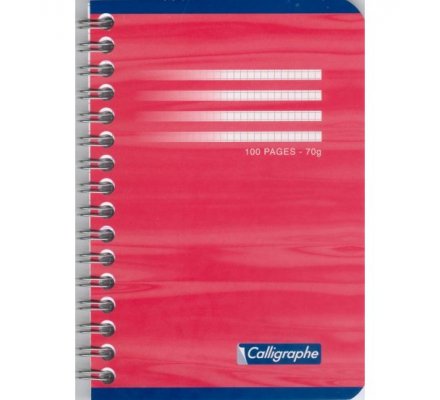 Carnet spirales 9x14 - 100 p - 5x5