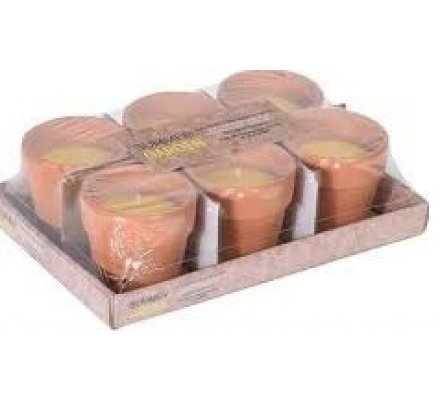 Lot de 6 bougie citronnelle en pot