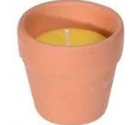 Lot de 6 bougie citronnelle en pot