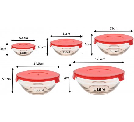 Lot de 5 boites en verre