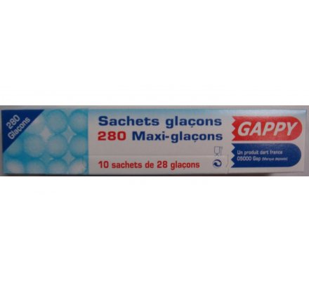 Sachets glaçons x 10