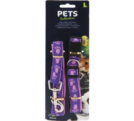 Collier + laisse pour chien médium