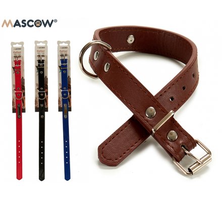 Collier pour chien médium