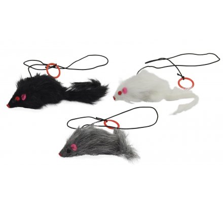 Souris pour chat