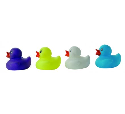 Canard de bain