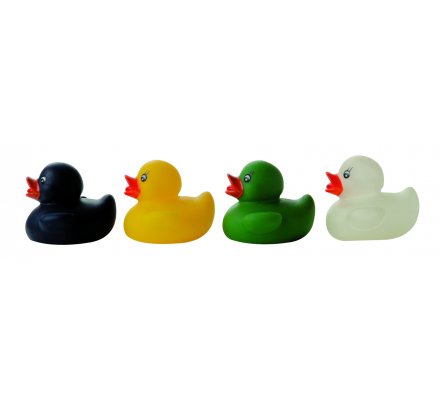 Canard de bain