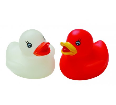 Canard de bain