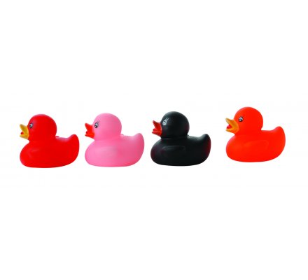 Canard de bain
