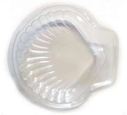 Lot de 100 dômes coquilles st jacques