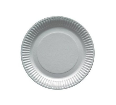 Assiettes en carton x 50