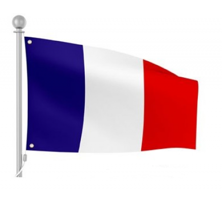 Drapeau France 90 x 150 cm - 17340