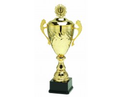 lot de 30 coupes trophées recompenses entre 20 et 42 cm